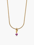 14k Gold Plated February Birthstone Necklace Set
